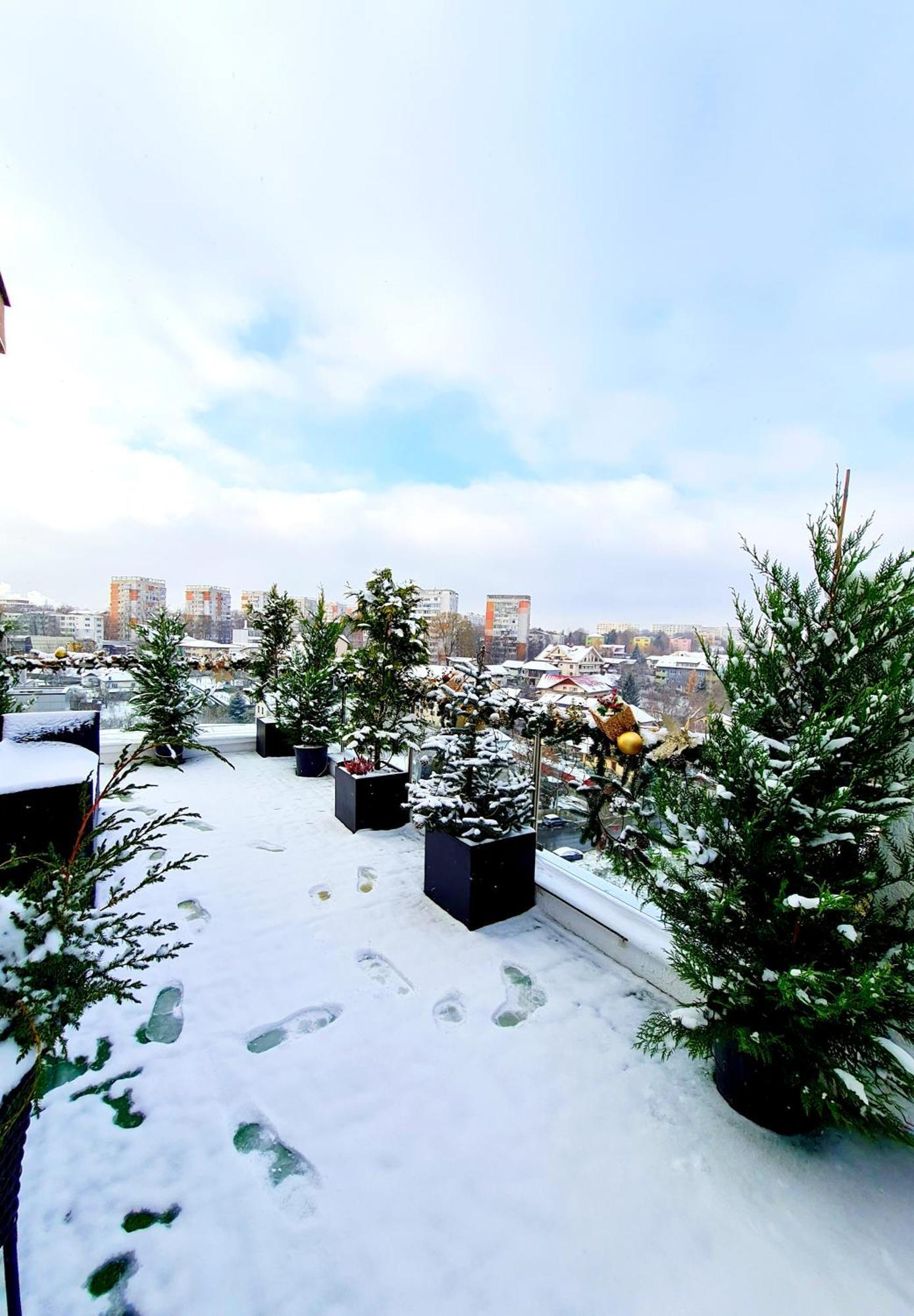 Penthouse View Aeroport Iasi Apartment Екстериор снимка