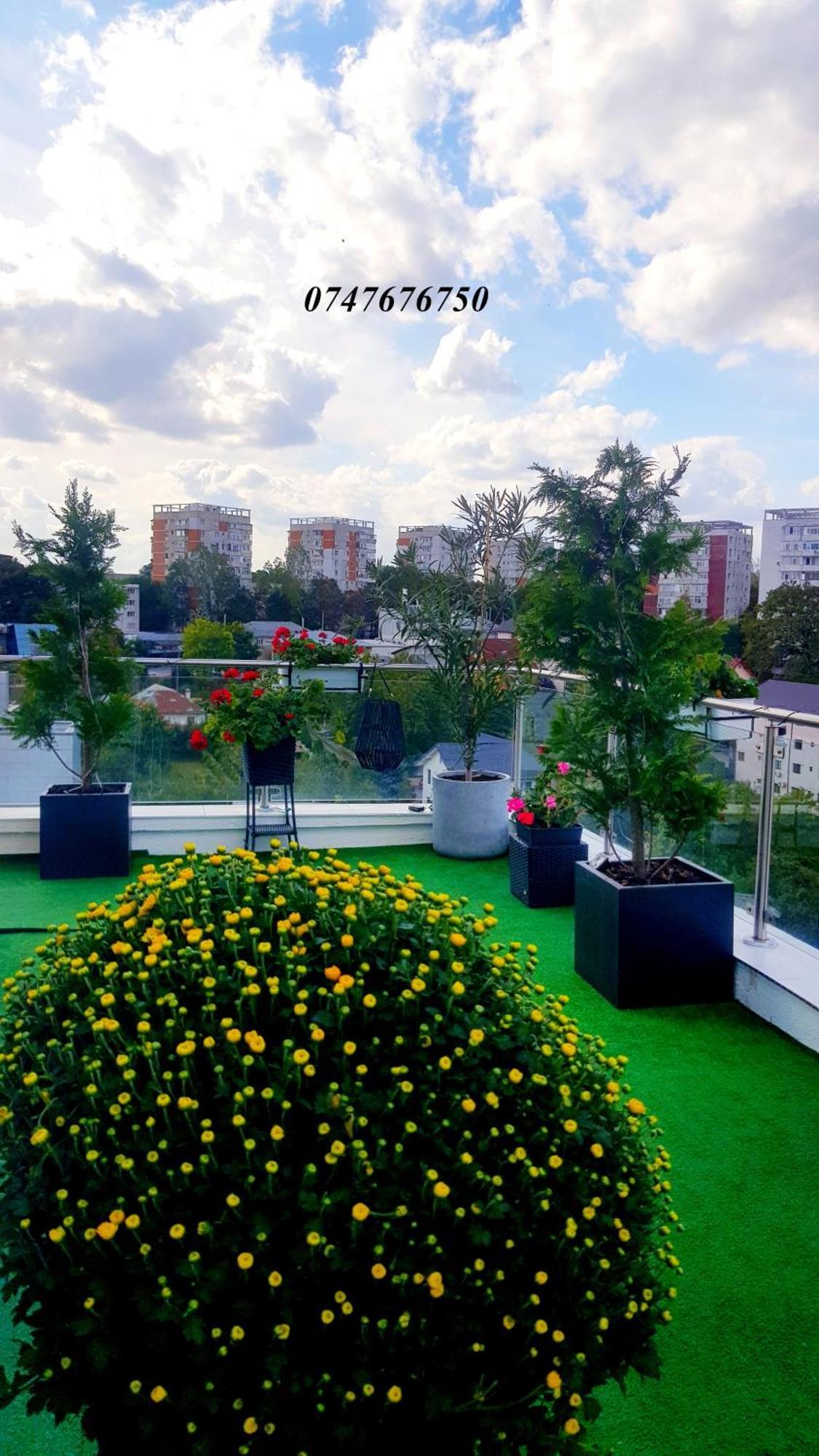 Penthouse View Aeroport Iasi Apartment Екстериор снимка