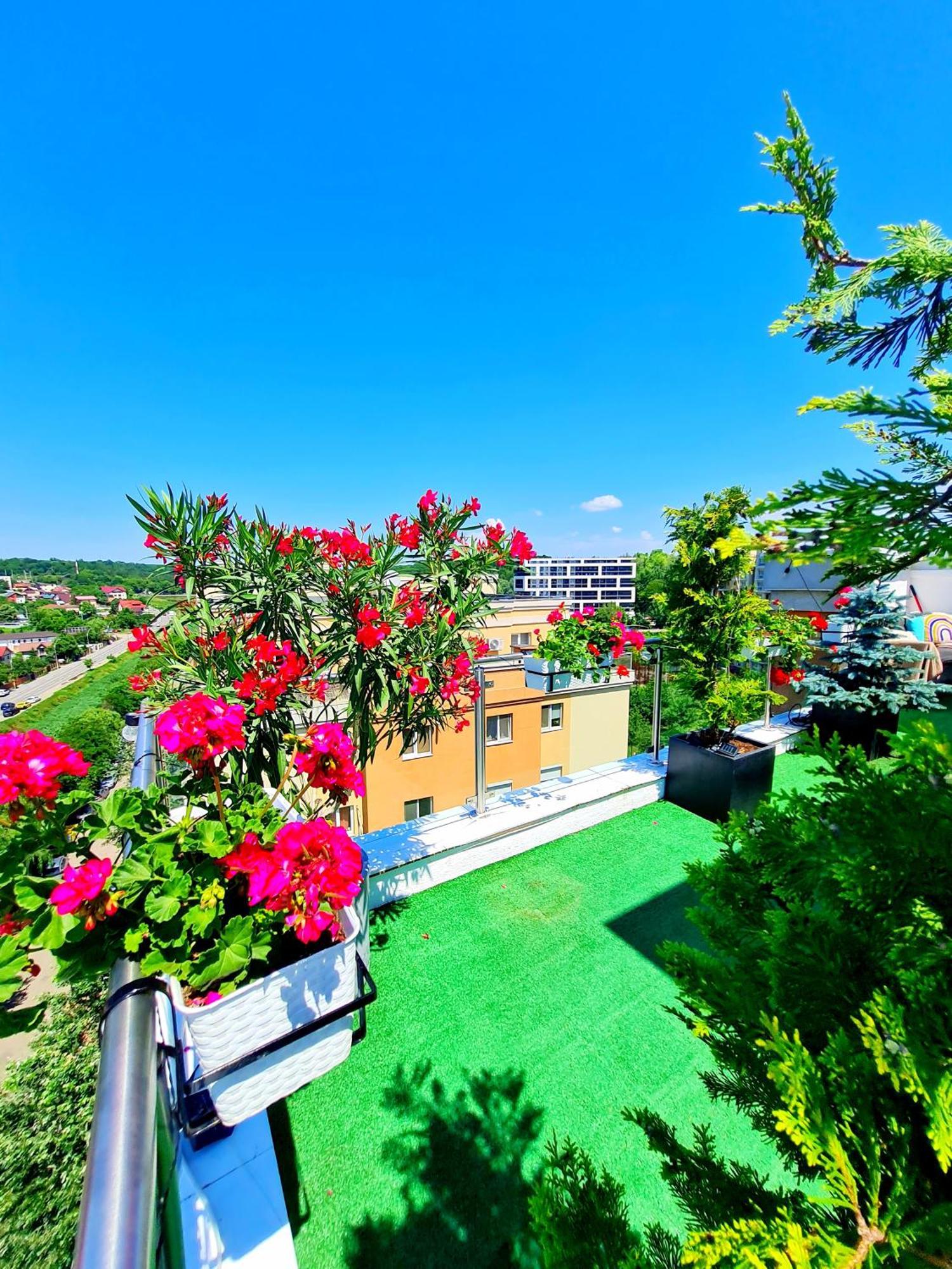 Penthouse View Aeroport Iasi Apartment Екстериор снимка