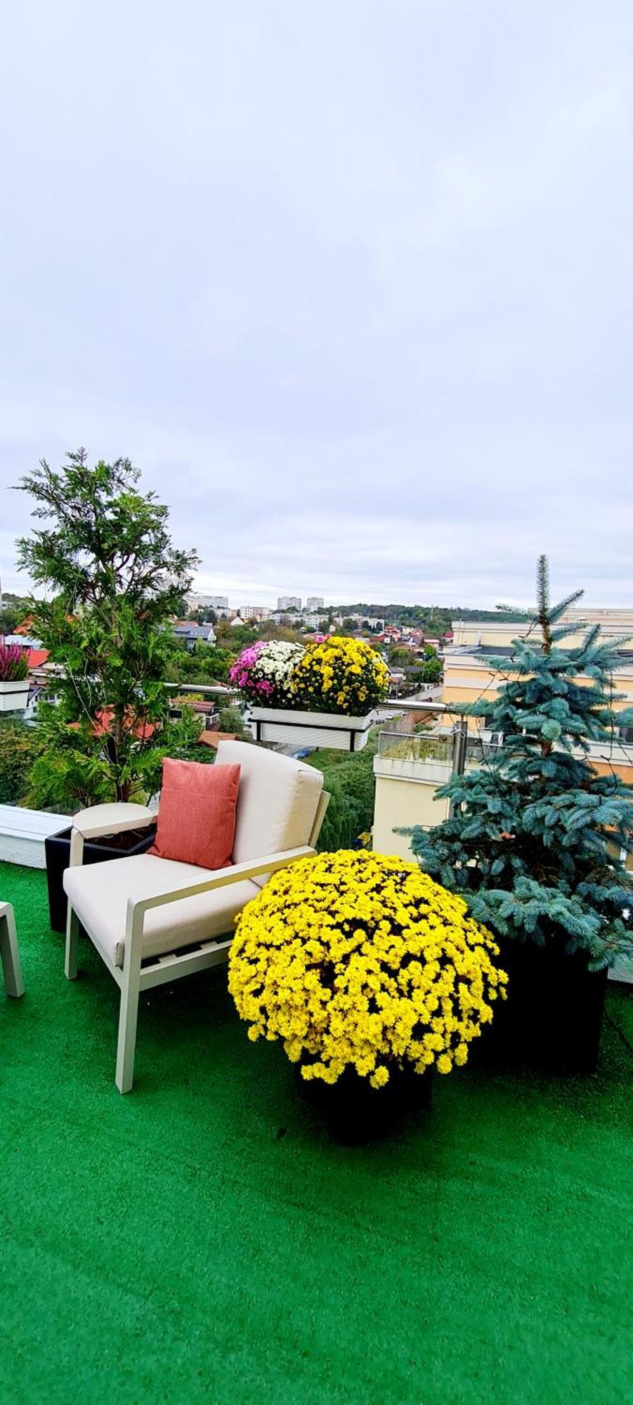Penthouse View Aeroport Iasi Apartment Екстериор снимка